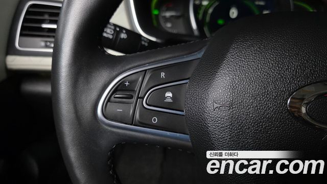 Renault Korea SM6 2.0 GDe RE 2016 — фото 31