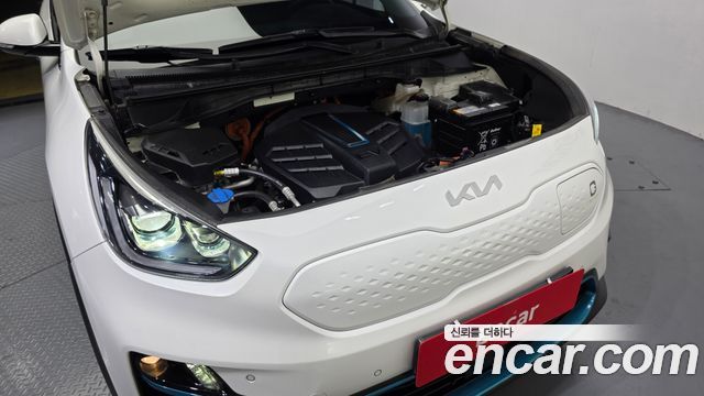 Kia Niro EV Noblesse 2022 — фото 6