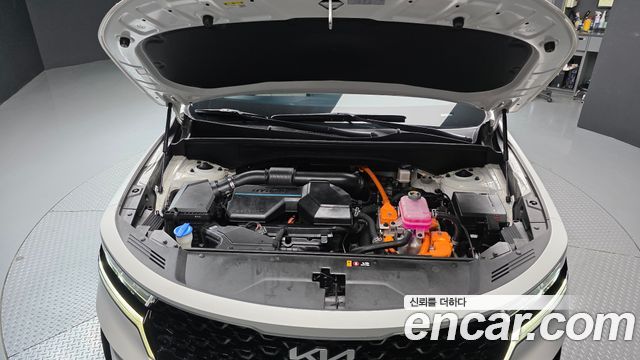Kia Sorento (IV) HEV 1.6 2WD Noblesse 2023 — фото 6