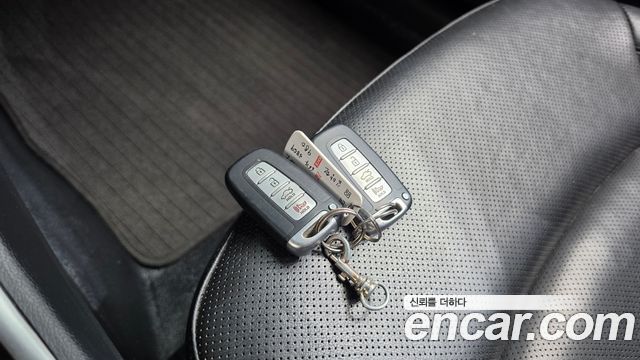 Hyundai Sonata The Brilliant LPI Premium 2013 — фото 16