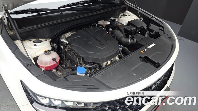 Kia Sorento (IV) Diesel 2.2 2WD Signature 2023 — фото 6