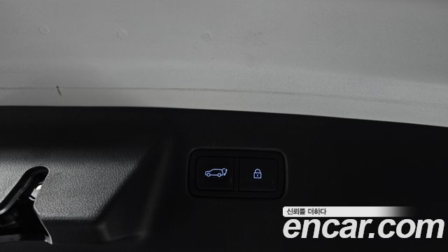 Hyundai Santa Fe (MX5) HEV 1.6 2WD Calligraphy 2025 — фото 20