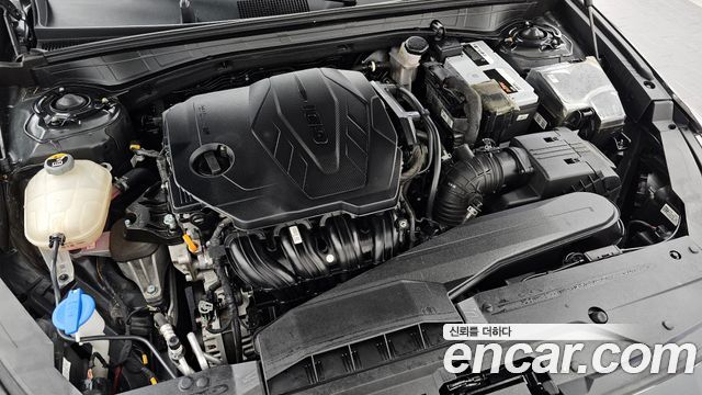 Kia K8 2.5 Gasoline 2WD Noblesse 2022 — фото 6