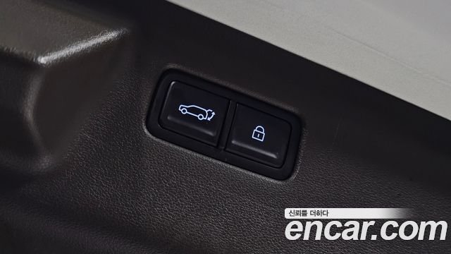 Hyundai Santa Fe (MX5) HEV 1.6 4WD Calligraphy 2024 — фото 20