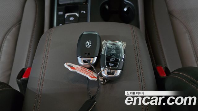 Hyundai Santa Fe (TM) Diesel 2.2 2WD Exclusive 2020 — фото 16