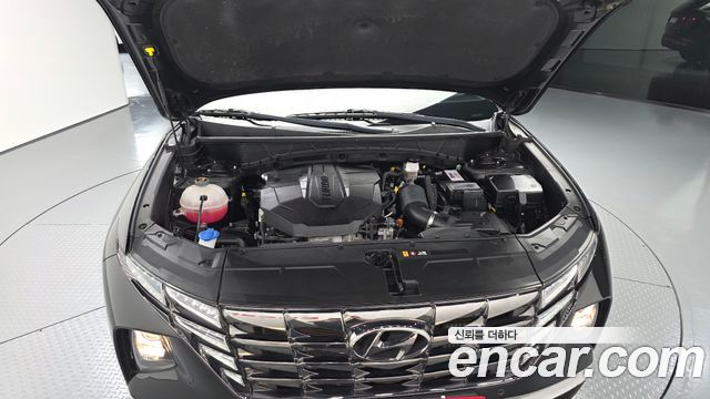 Hyundai Tucson (NX4) Diesel 2.0 4WD Premium 2023 — фото 6