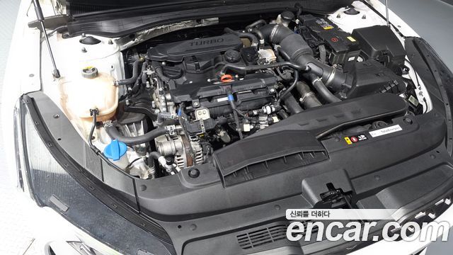 Kia K5 (III) 1.6 Turbo Signature 2021 — фото 6