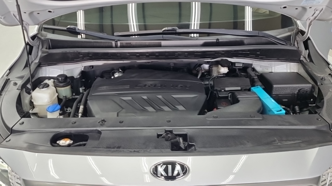 Kia Carnival 9-Seater Noblesse Special 2019 — фото 6
