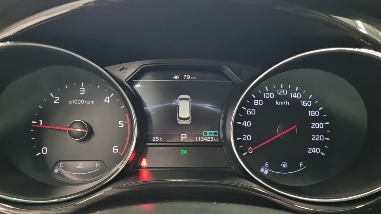Kia Carnival 9-Seater Noblesse Special 2019 — фото 21