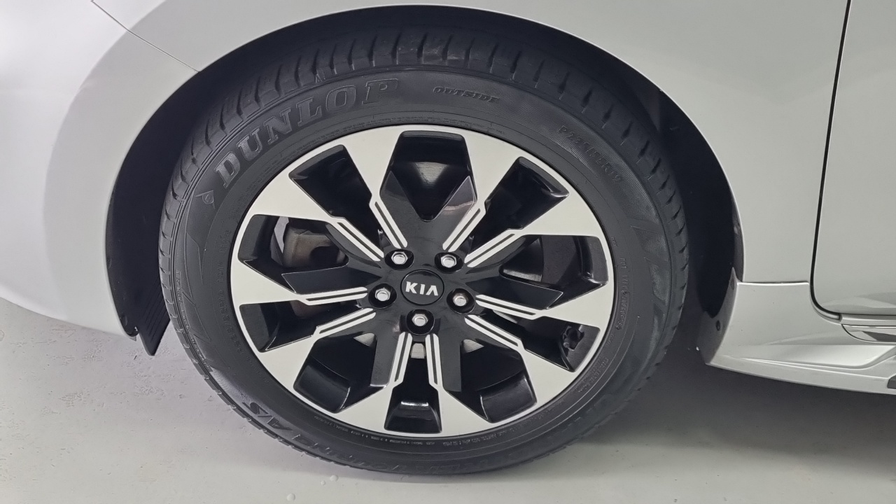 Kia Carnival 9-Seater Noblesse Special 2019 — фото 22