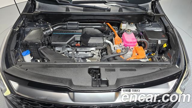 Kia Sportage Hybrid (V) Signature 2WD 2024 — фото 6