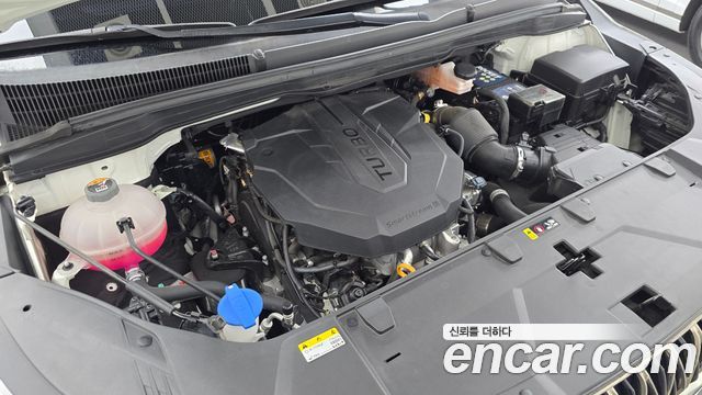 Kia Carnival (IV) Diesel 9-Seater Noblesse 2023 — фото 6