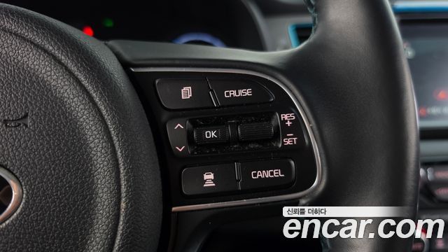 Kia Niro EV Noblesse 2019 — фото 16