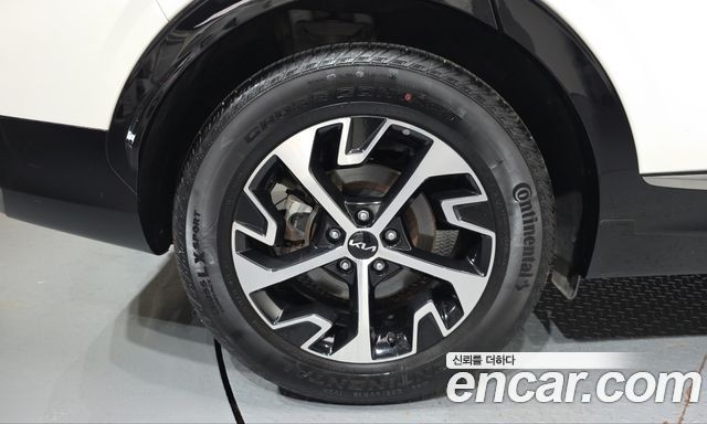 Kia Sportage Hybrid (V) Nobleless 2WD 2024 — фото 5