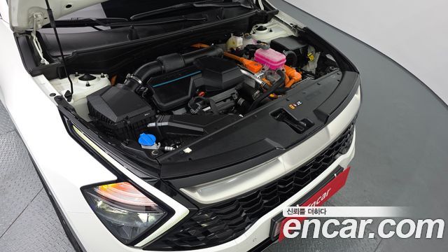 Kia Sportage Hybrid (V) Nobleless 2WD 2024 — фото 6