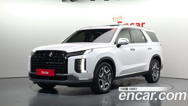 Hyundai Palisade Diesel 2.2 4WD Le Blanc