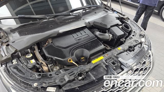 Land Rover Range Rover Evoque (II) P250 SE 2020 — фото 6