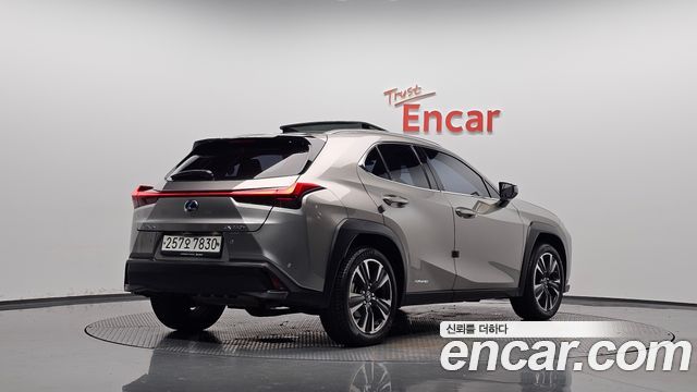 Lexus UX250h 2.0 AWD 2019 — фото 2