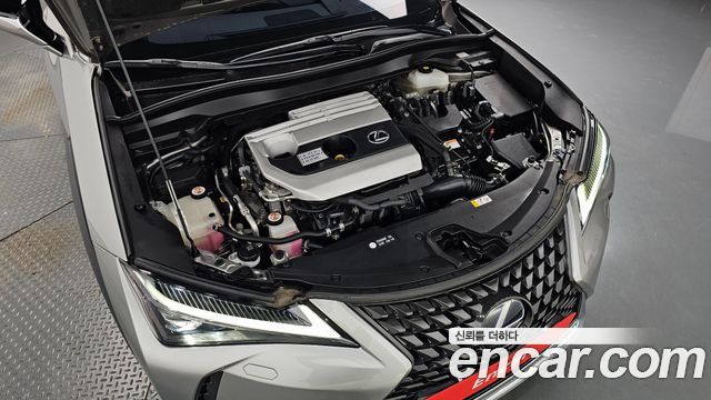 Lexus UX250h 2.0 AWD 2019 — фото 6