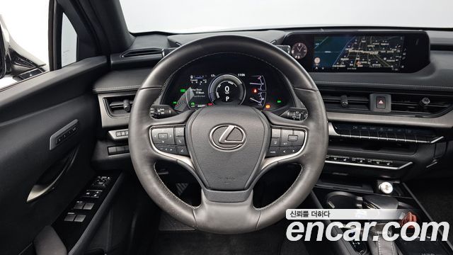 Lexus UX250h 2.0 AWD 2019 — фото 13