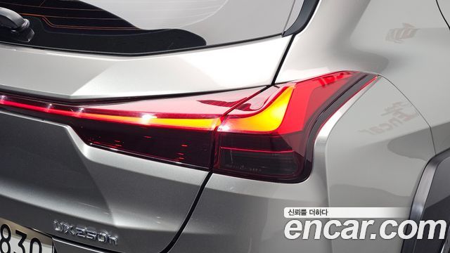 Lexus UX250h 2.0 AWD 2019 — фото 23