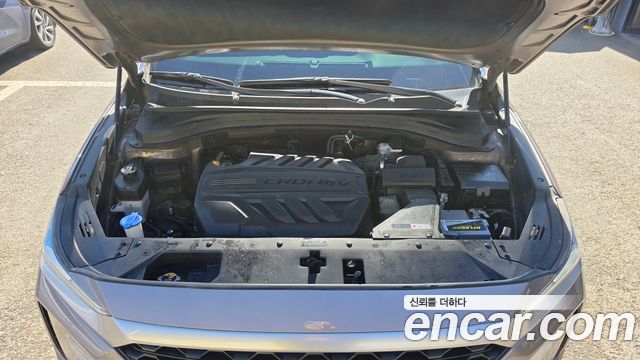 Hyundai Santa Fe (TM) Diesel 2.2 2WD Exclusive 2019 — фото 6