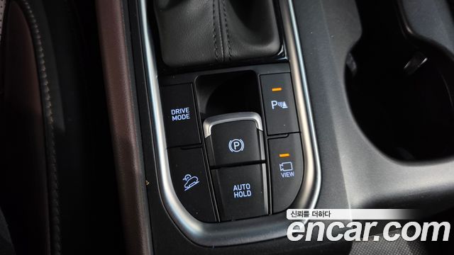 Hyundai Santa Fe (TM) Gasoline 2.0T 4WD Inspiration 2019 — фото 12