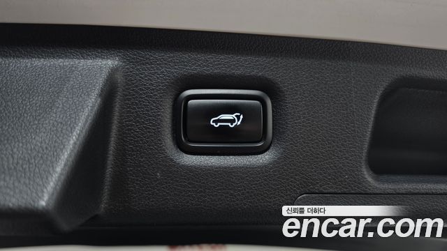 Hyundai Santa Fe (TM) Gasoline 2.0T 4WD Inspiration 2019 — фото 19