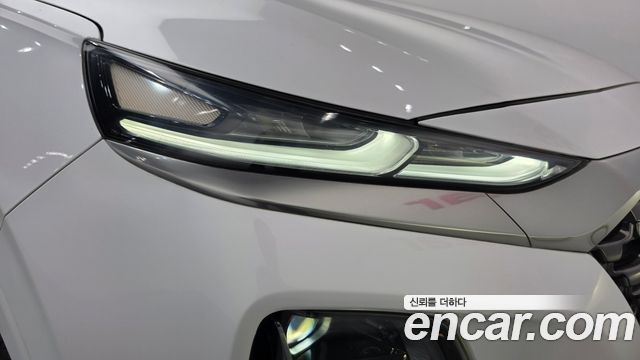 Hyundai Santa Fe (TM) Gasoline 2.0T 4WD Inspiration 2019 — фото 22