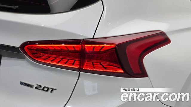 Hyundai Santa Fe (TM) Gasoline 2.0T 4WD Inspiration 2019 — фото 23