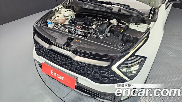 Kia Sportage (V) Gasoline 1.6 Turbo 2WD Signature Gravity 2022 — фото 6