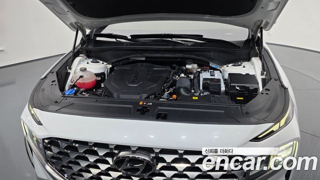 Hyundai Santa Fe Diesel 2.2 2WD Exclusive 2023 — фото 6