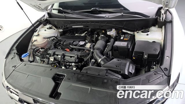 Hyundai Tucson (NX4) Gasoline 1.6 Turbo 2WD Premium 2024 — фото 6