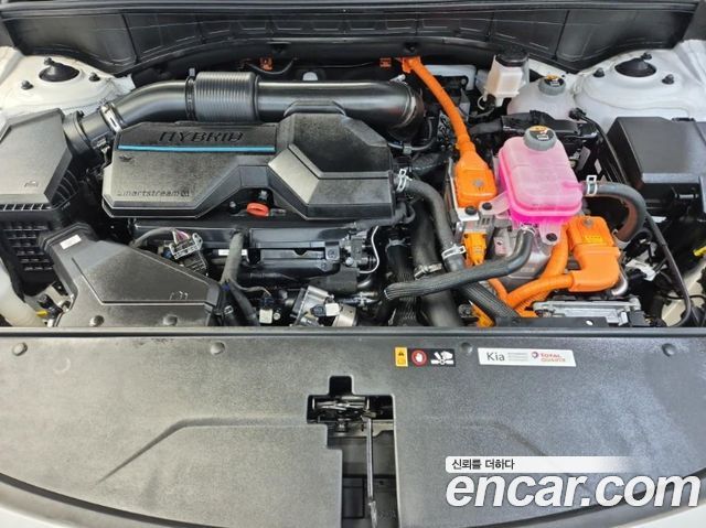 Kia Sorento (IV) HEV 1.6 2WD Gravity 2023 — фото 5