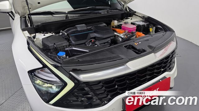 Kia Sportage Hybrid (V) Signature 2WD 2024 — фото 6