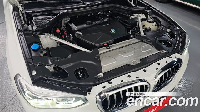 BMW X4 (G02) xDrive20i M Sport X 2021 — фото 6