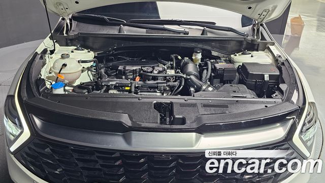 Kia Sportage (V) Gasoline 1.6 Turbo 2WD Nobleless 2024 — фото 6
