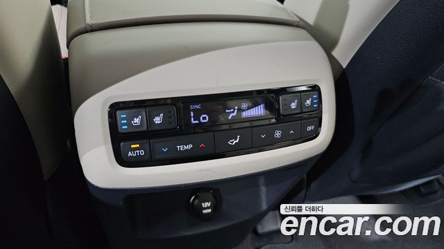 Hyundai Palisade Diesel 2.2 2WD Prestige 2019 — фото 19