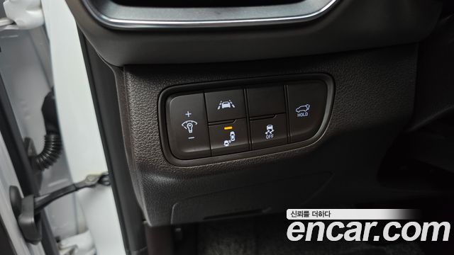 Hyundai Santa Fe (TM) Gasoline 2.0T 2WD Exclusive Special 2019 — фото 20
