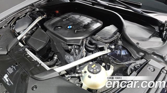 BMW 5 Series (G30) 520d M Sport Package Plus 2018 — фото 6