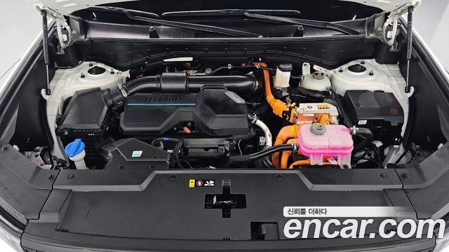 Hyundai Santa Fe (MX5) HEV 1.6 2WD Calligraphy 2024 — фото 6