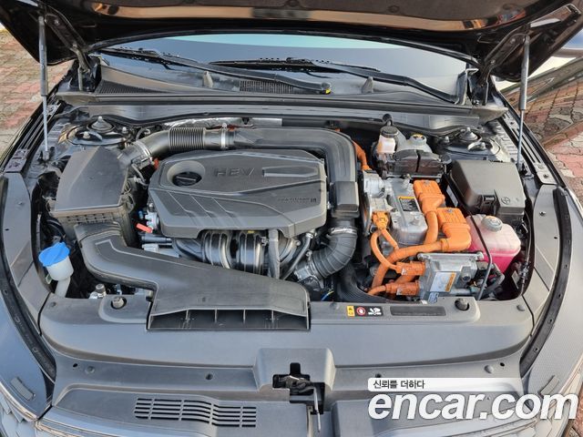 Kia K5 Hybrid (III) Noblesse 2021 — фото 17