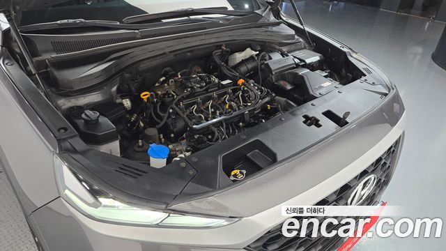 Hyundai Santa Fe (TM) Diesel 2.2 2WD Exclusive 2019 — фото 6