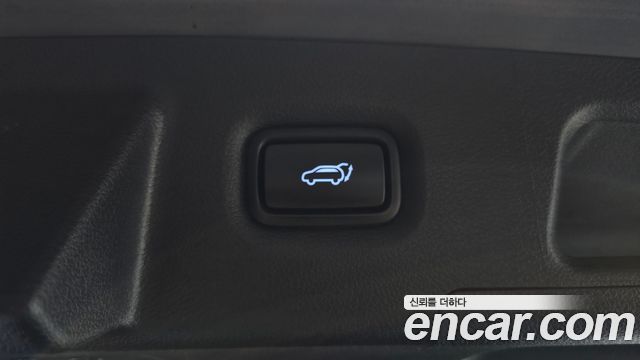 Hyundai Santa Fe (TM) Diesel 2.2 2WD Exclusive 2019 — фото 20
