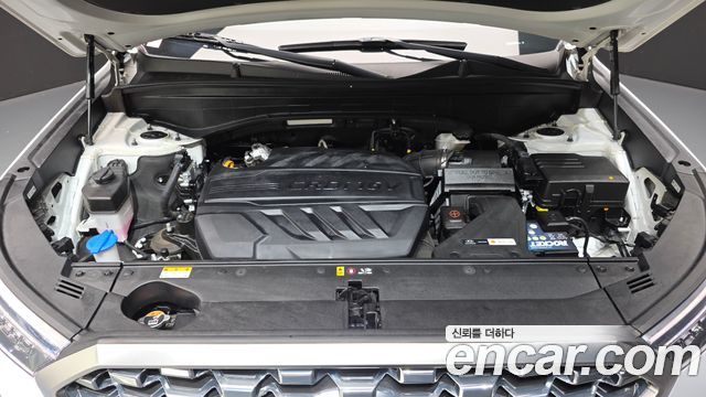 Hyundai Palisade Diesel 2.2 2WD Exclusive 2022 — фото 6