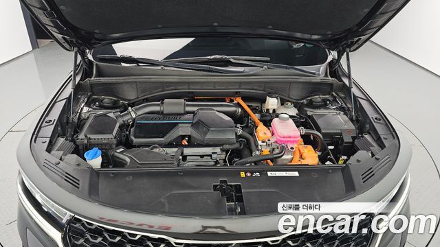 Kia Sorento (IV) HEV 1.6 2WD Noblesse 2023 — фото 6