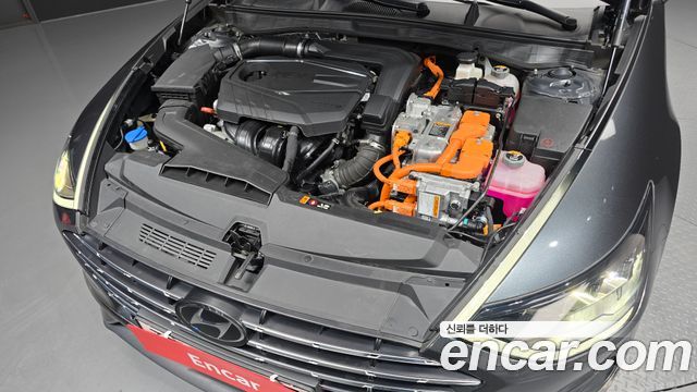 Hyundai Sonata Hybrid (DN8) Premium Plus 2023 — фото 6
