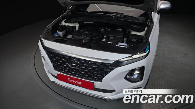 Hyundai Santa Fe (TM) Gasoline 2.0T 2WD Inspiration 2019 — фото 6