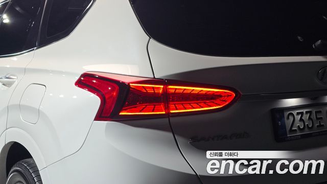 Hyundai Santa Fe (TM) Gasoline 2.0T 2WD Inspiration 2019 — фото 23