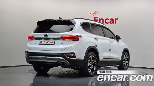 Hyundai Santa Fe (TM) Diesel 2.0 2WD Exclusive Special 2019 — фото 2